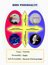 disc personality test birds|Bird Personality (DOPE) Test .